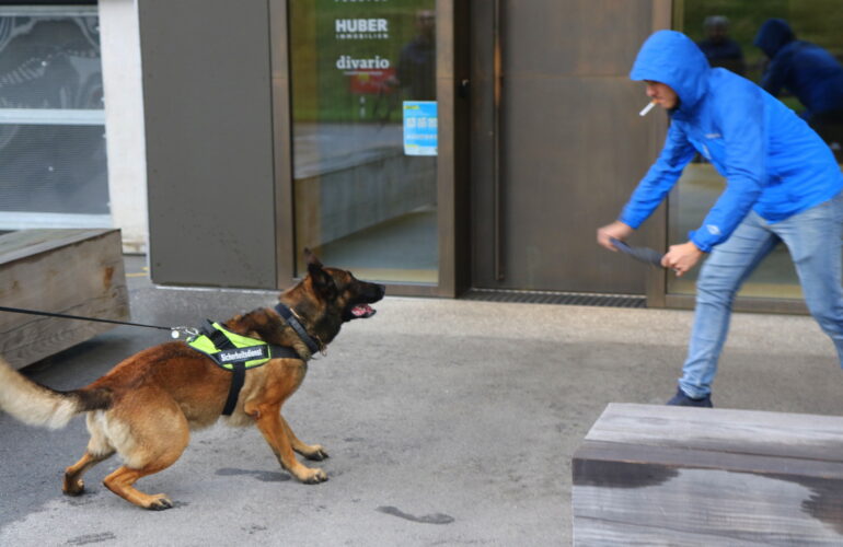 Hako Verkehrsicherheit - Hundeführerdienste