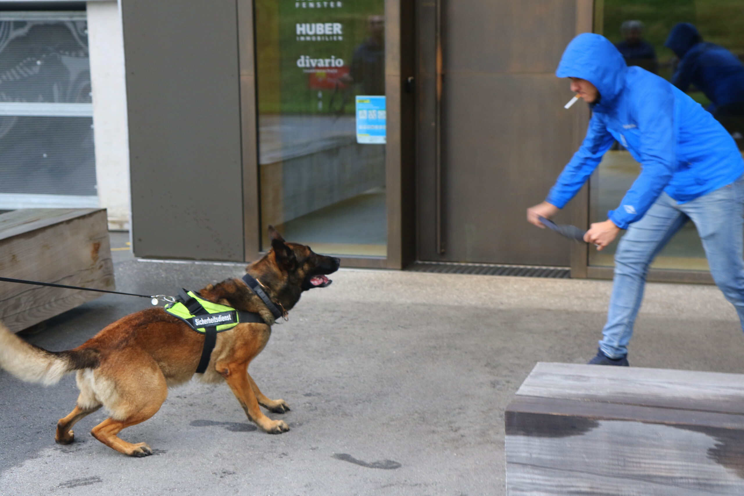 Hako Verkehrsicherheit - Hundeführerdienste
